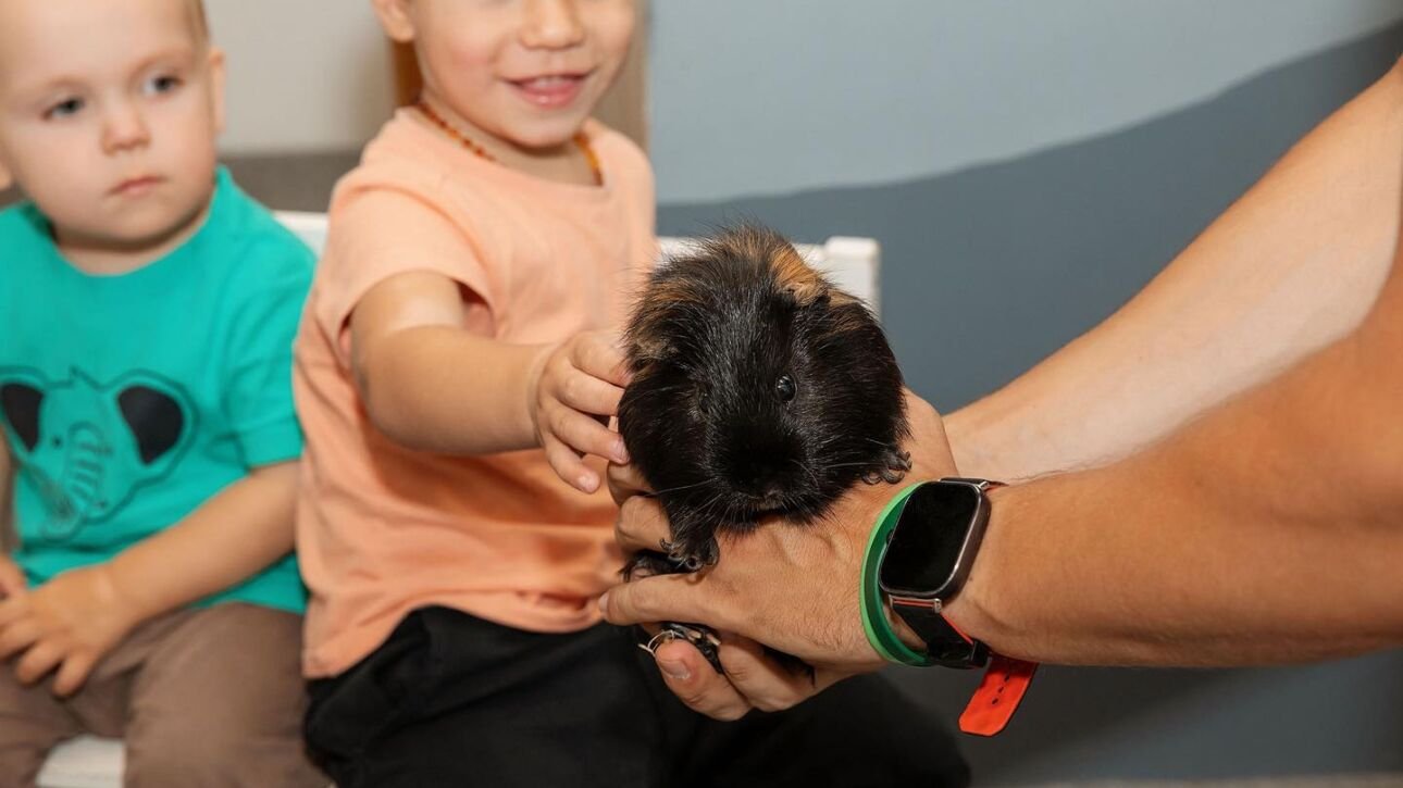 547584507_1303520138454131_7482092005535491688_n